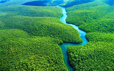 amazonias allporncomix|Amazonia Issue 1 .
